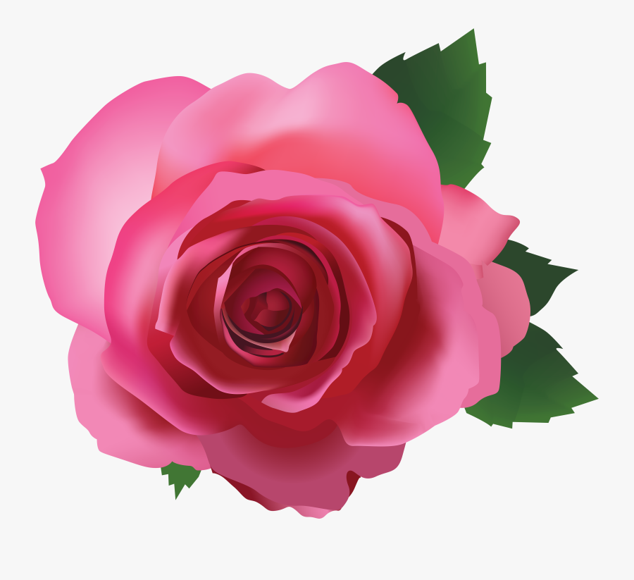 Pink Rose Transparent Background Rose Clipart, Transparent Clipart