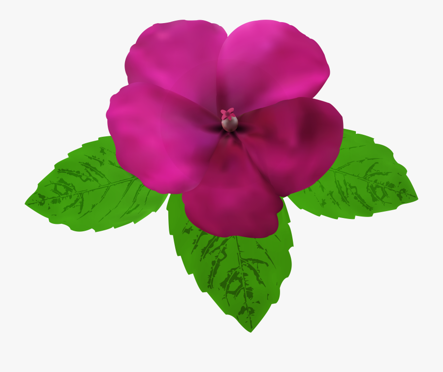 Magenta Flower Png Clip Art, Transparent Clipart