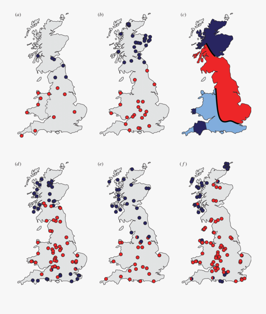 Celtic Fringes In British Small Mammals - Map Of Uk, Transparent Clipart