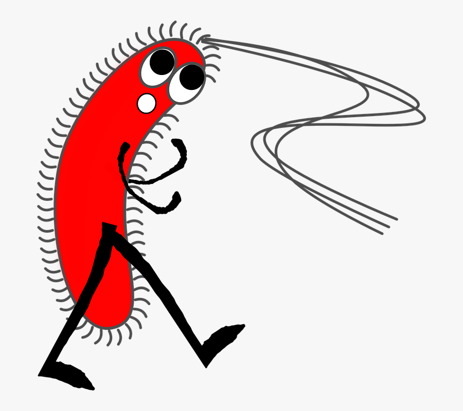 Germ Virus Bacteria - Gram Negative Bacteria Clip Art, Transparent Clipart