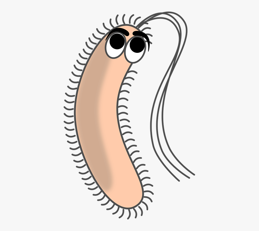 Bacteria, Filaments, Germ, Pathogene, Cell, Funny - Bacteria Clipart, Transparent Clipart