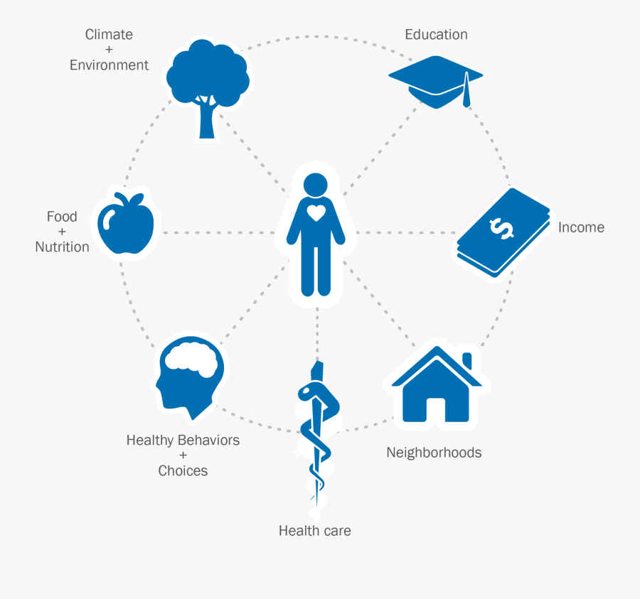 Factors Affecting Human Health, Transparent Clipart