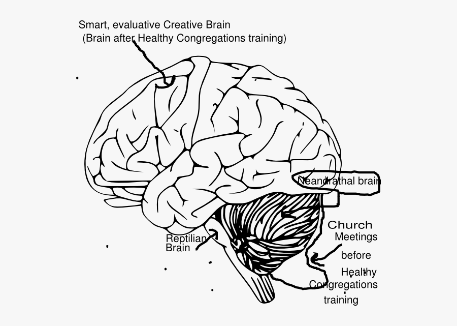 Black And White Brain Clipart, Transparent Clipart