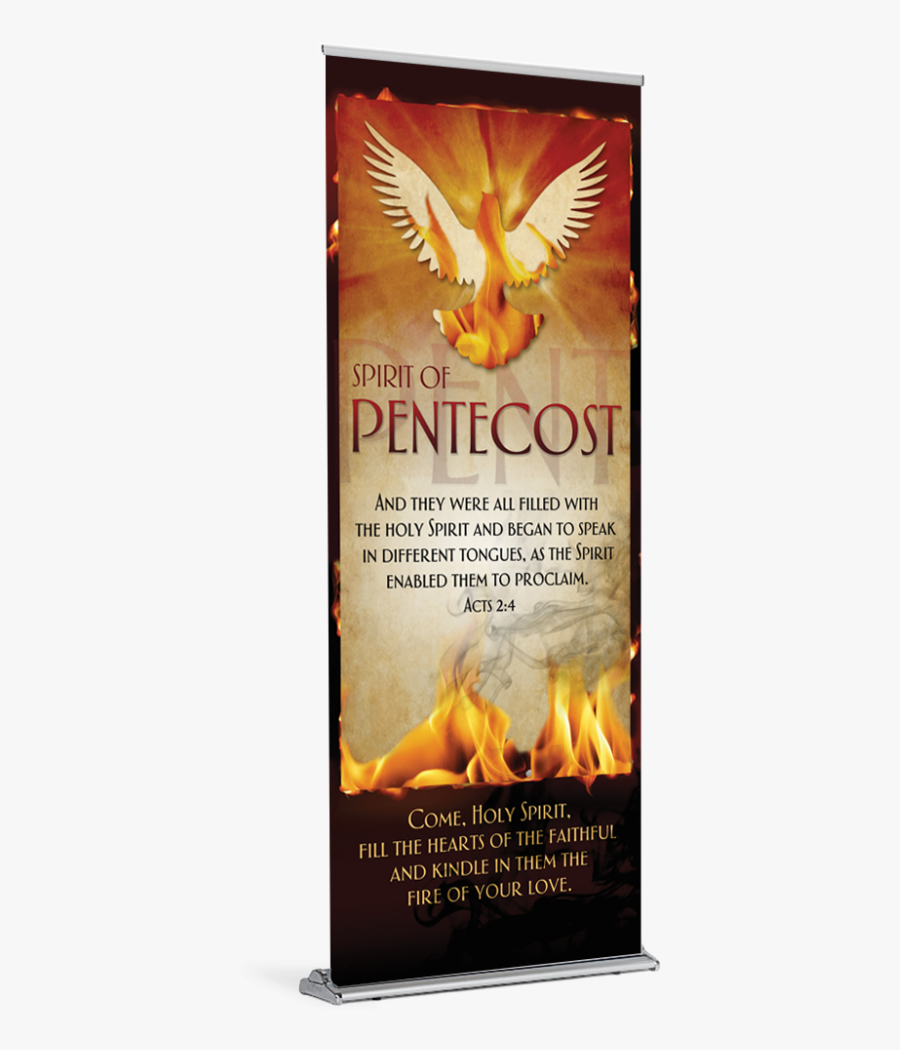 Flyer, Transparent Clipart