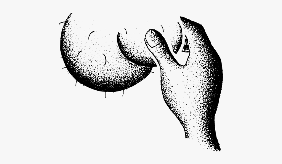 Movember Know Thy Nuts, Transparent Clipart