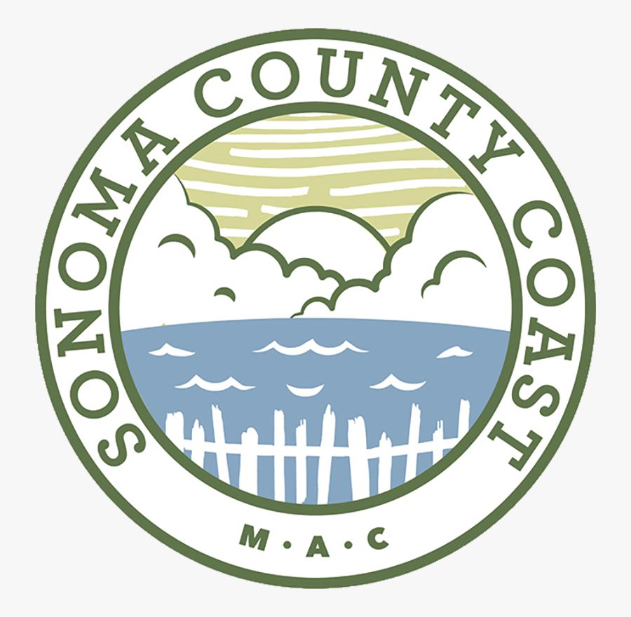 Circle, Transparent Clipart