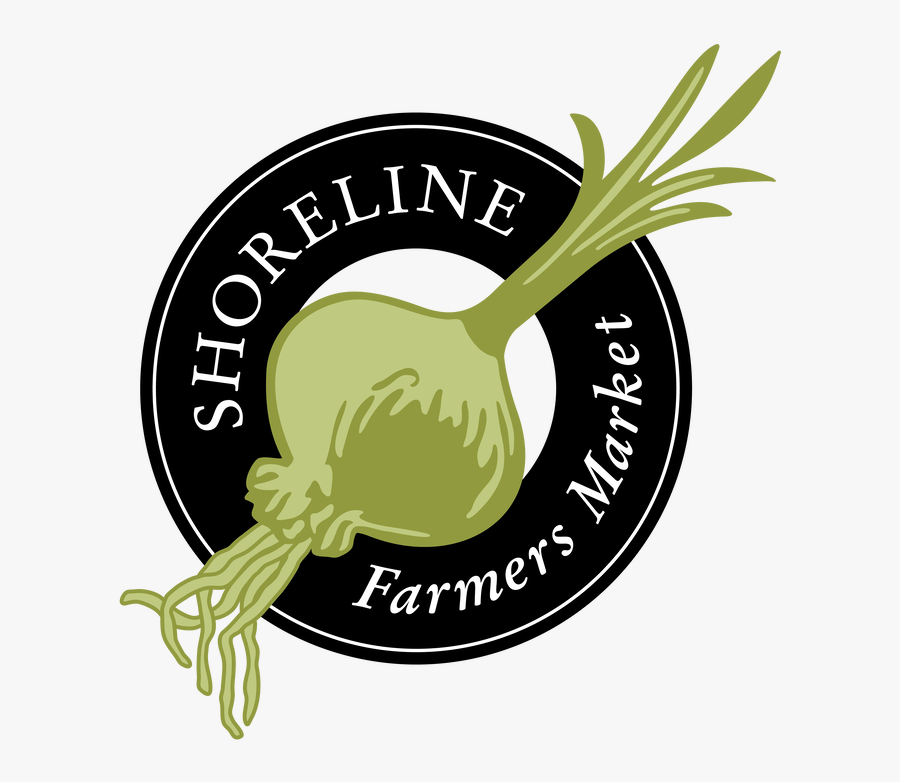 Picture, Transparent Clipart