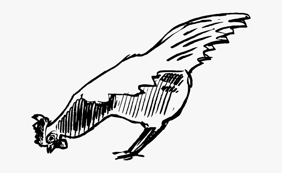 Chicken Line Pecking, Transparent Clipart