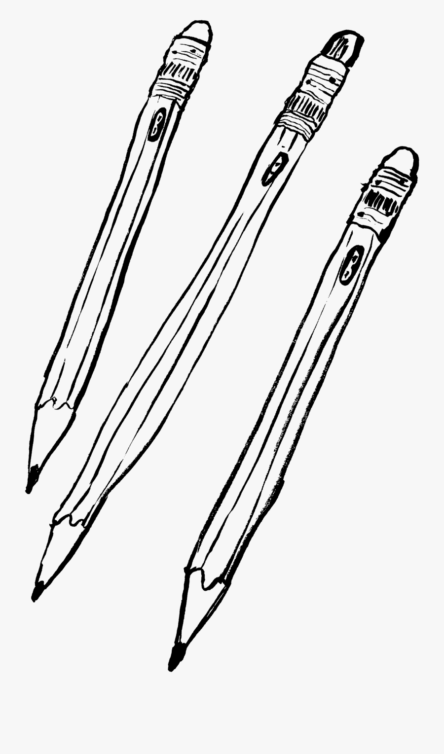 Sketch, Transparent Clipart