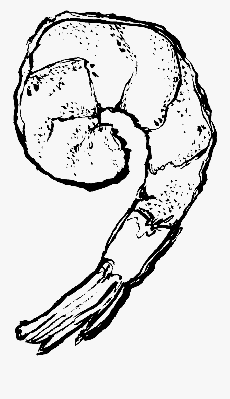 Sketch, Transparent Clipart