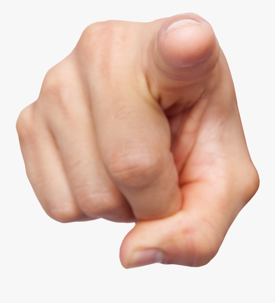 1220 X 1024, Transparent Clipart