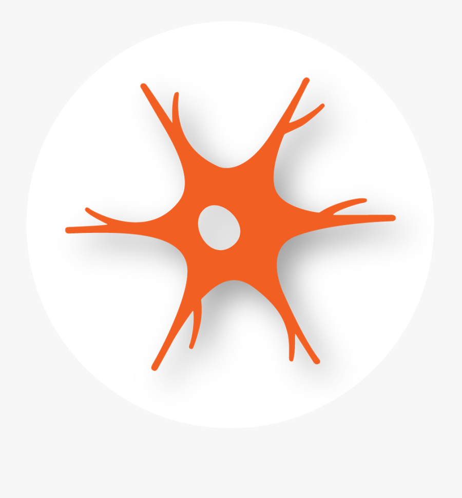 Circle, Transparent Clipart