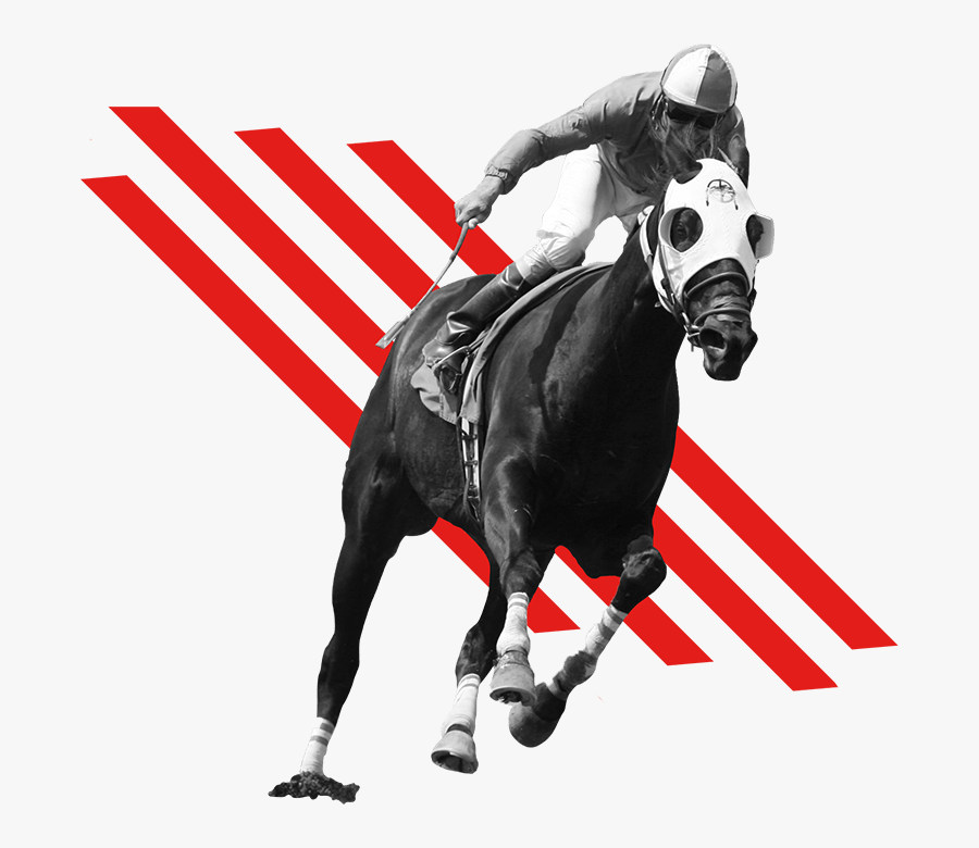 Woodbine Events 2018 Recap - Horse Race Logo Png, Transparent Clipart
