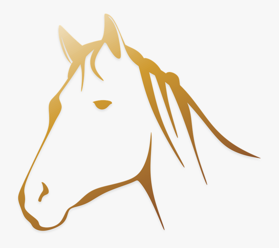 White Horse Transparent Background, Transparent Clipart