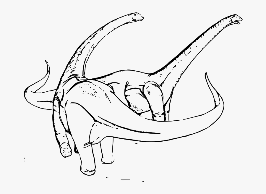 Fossil Clipart Colouring Sheet - Dinosaurios Diplodocus Para Colorear, Transparent Clipart