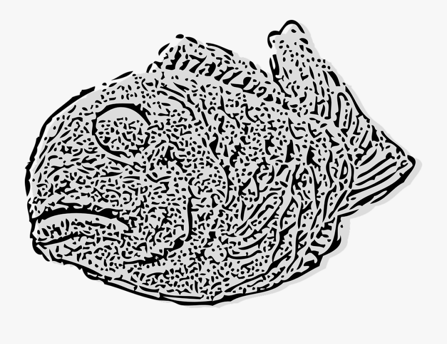 Fossil, Animal, Fish, Prehistoric - Fossilien Fisch Png, Transparent Clipart