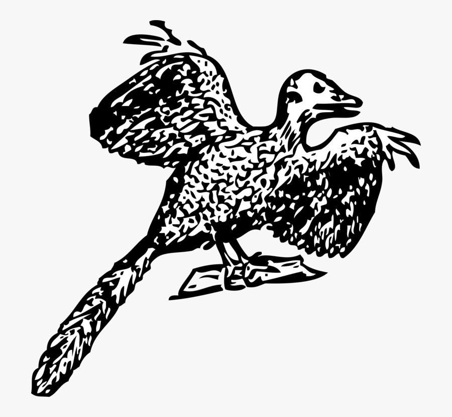 Art,monochrome Photography,beak - Archaeopteryx, Transparent Clipart