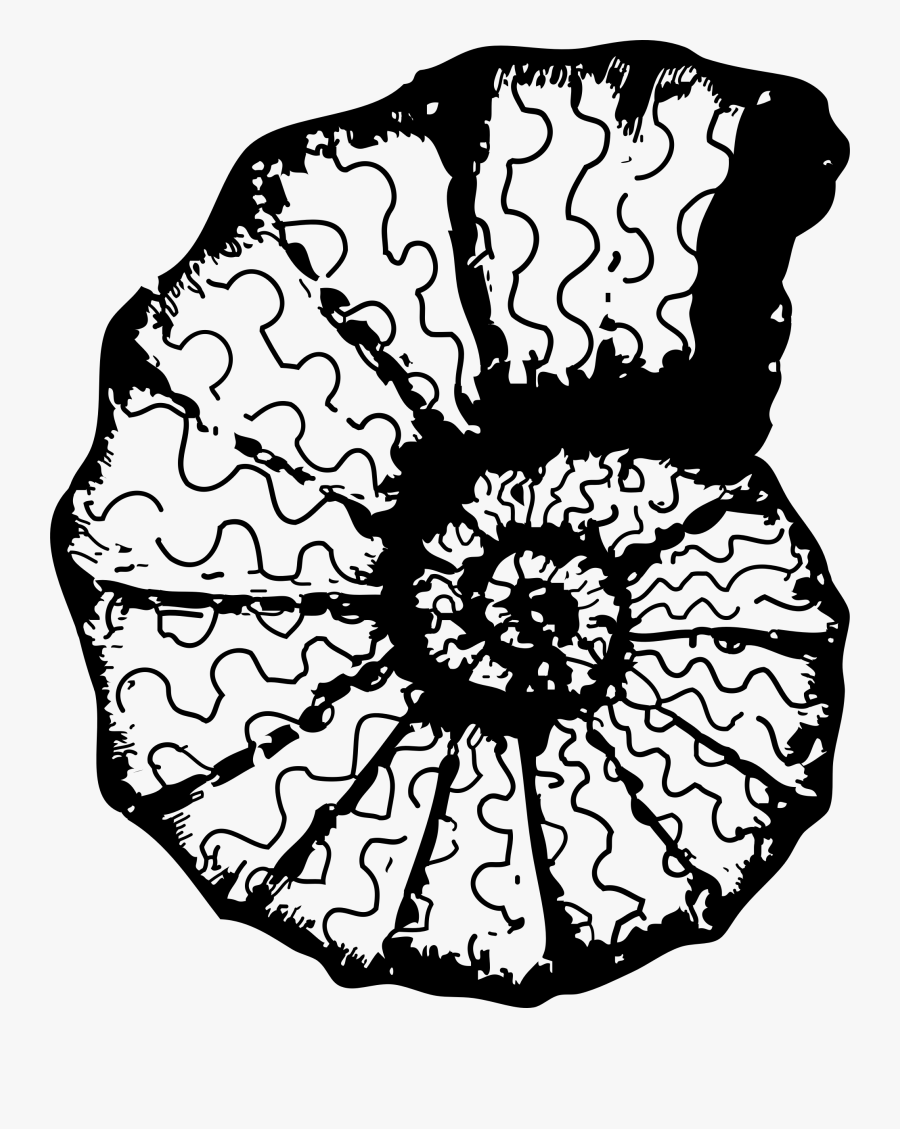 Ceratite Clip Arts, Transparent Clipart