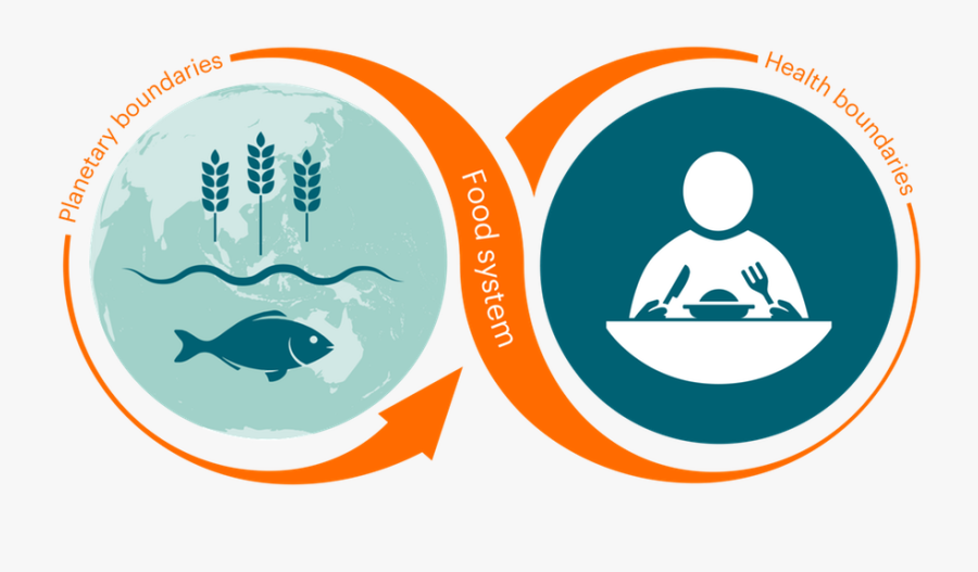 Health, Transparent Clipart