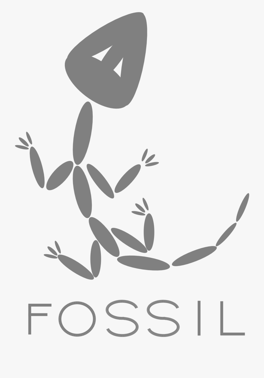 Fossil Cvs, Transparent Clipart