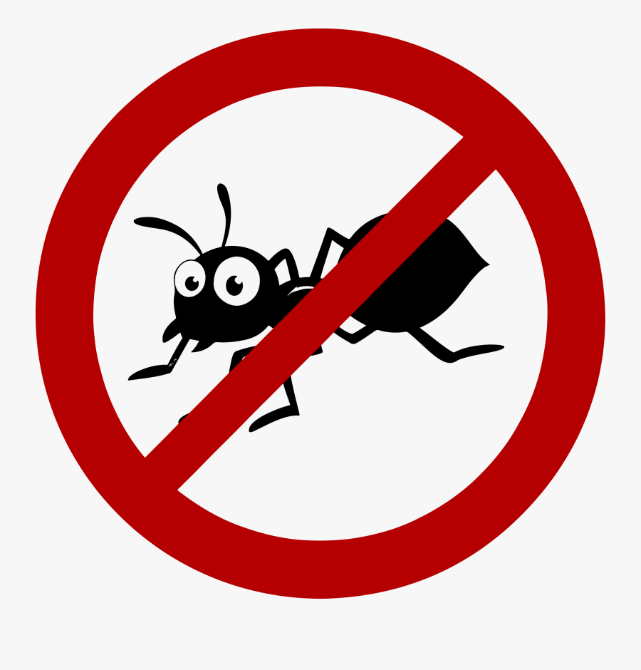 No-ants - No Slavery Clipart, Transparent Clipart