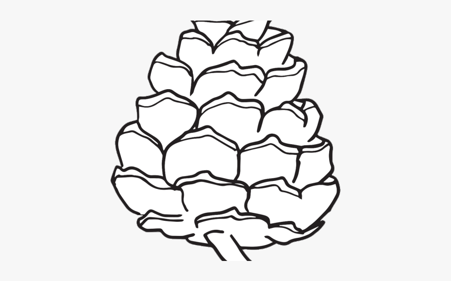 Pine Cone Simple Drawing, Transparent Clipart