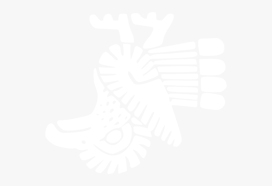 Bird Flag Mexico Outline Svg Clip Arts - Illustration, Transparent Clipart