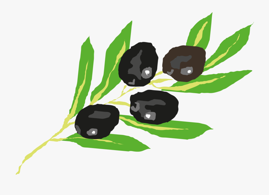 Illustration, Transparent Clipart