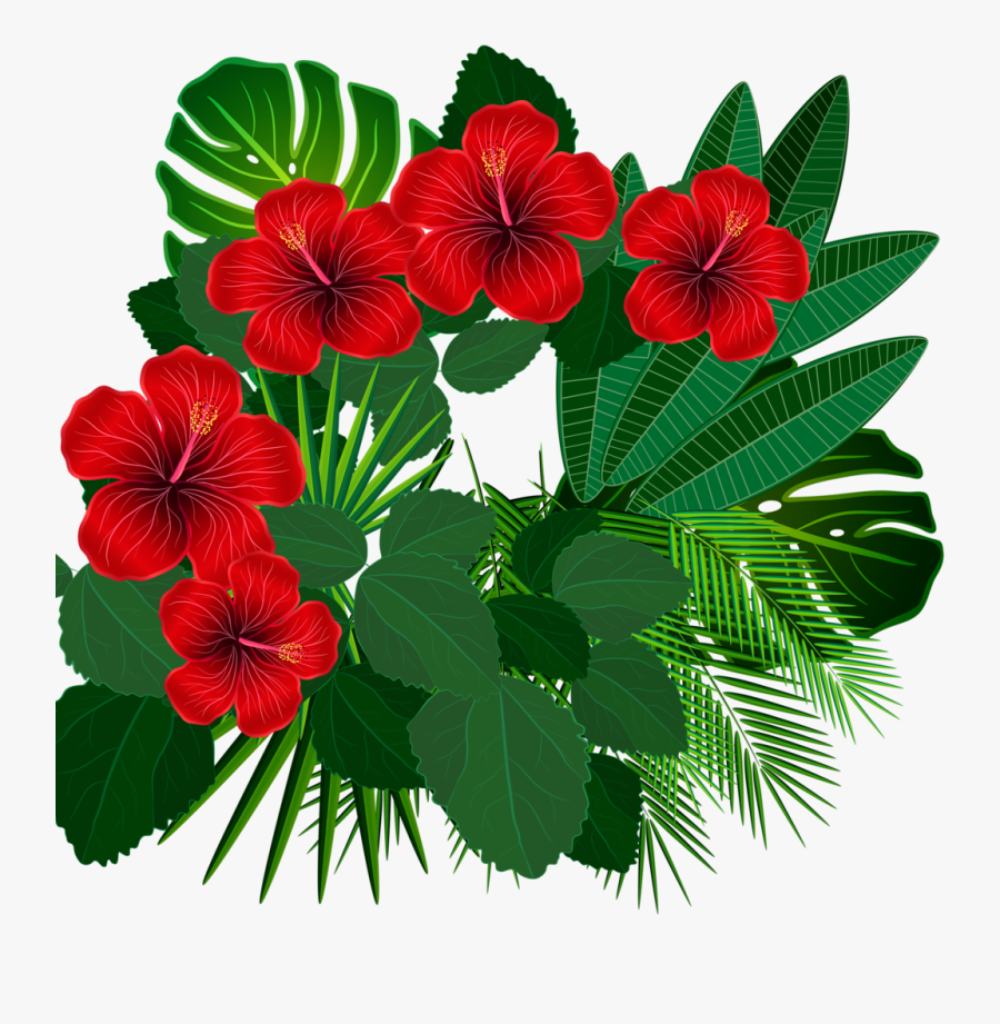 Hibiscus Clipart Aloha - Тропики Фон, Transparent Clipart