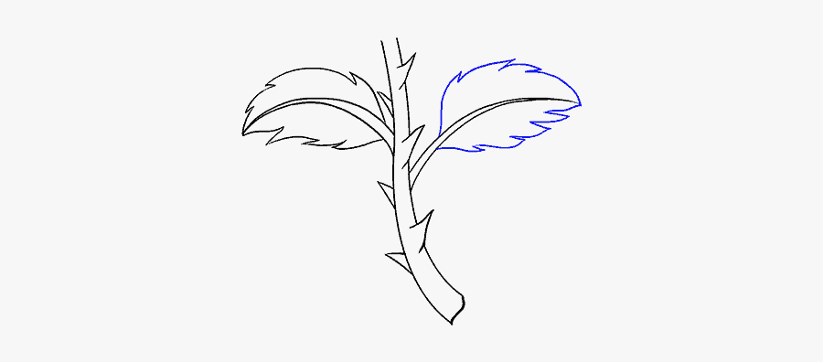 Clip Art Rose With Stem Drawing - Drawing Rose Branch With Leaves, Transparent Clipart