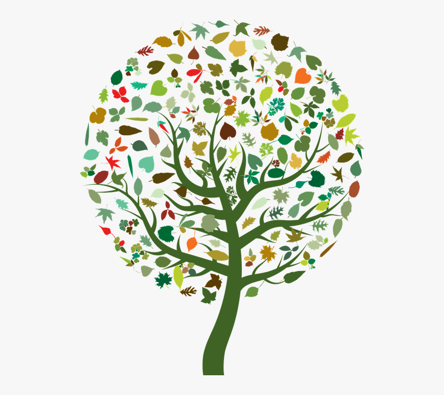 Clip - Abstract Tree Clipart, Transparent Clipart