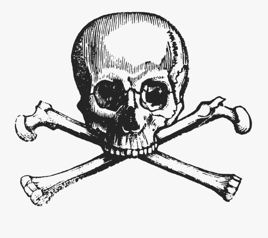 Transparent Pirate Eye Patch Clipart - Skull And Bones Png, Transparent Clipart