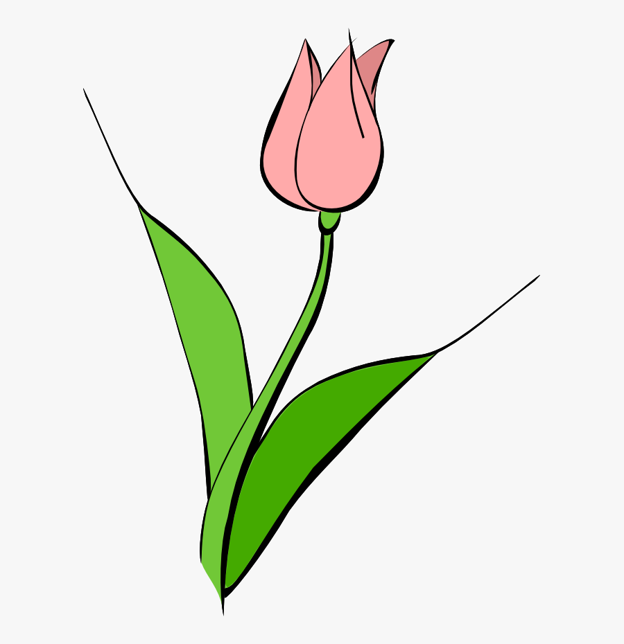 Tulip Clip Art - Pink Tulips Clipart, Transparent Clipart