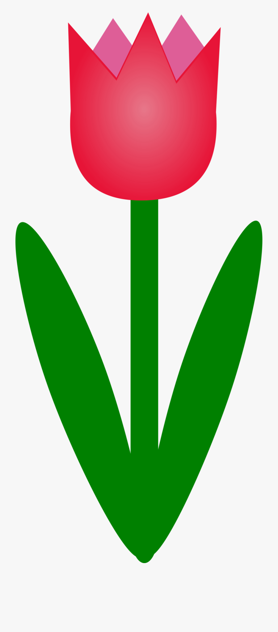 Tulip - Cartoon Tulip Png, Transparent Clipart