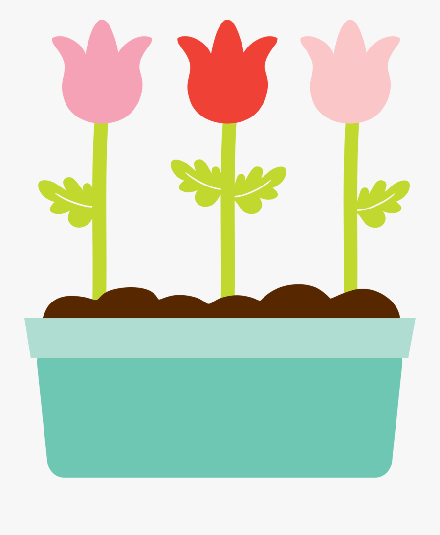 Tulip Box Svg Cut File, Transparent Clipart
