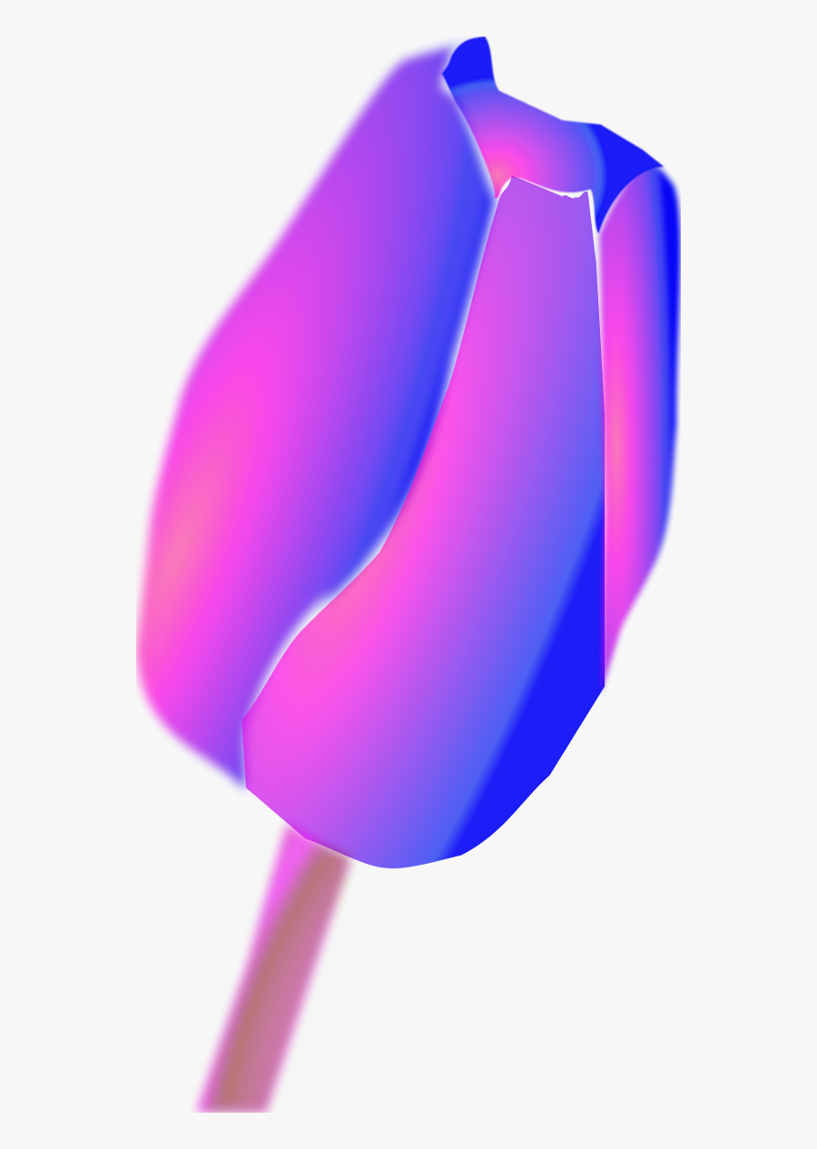 Transparent Tulip Flower Clipart - Tulip, Transparent Clipart