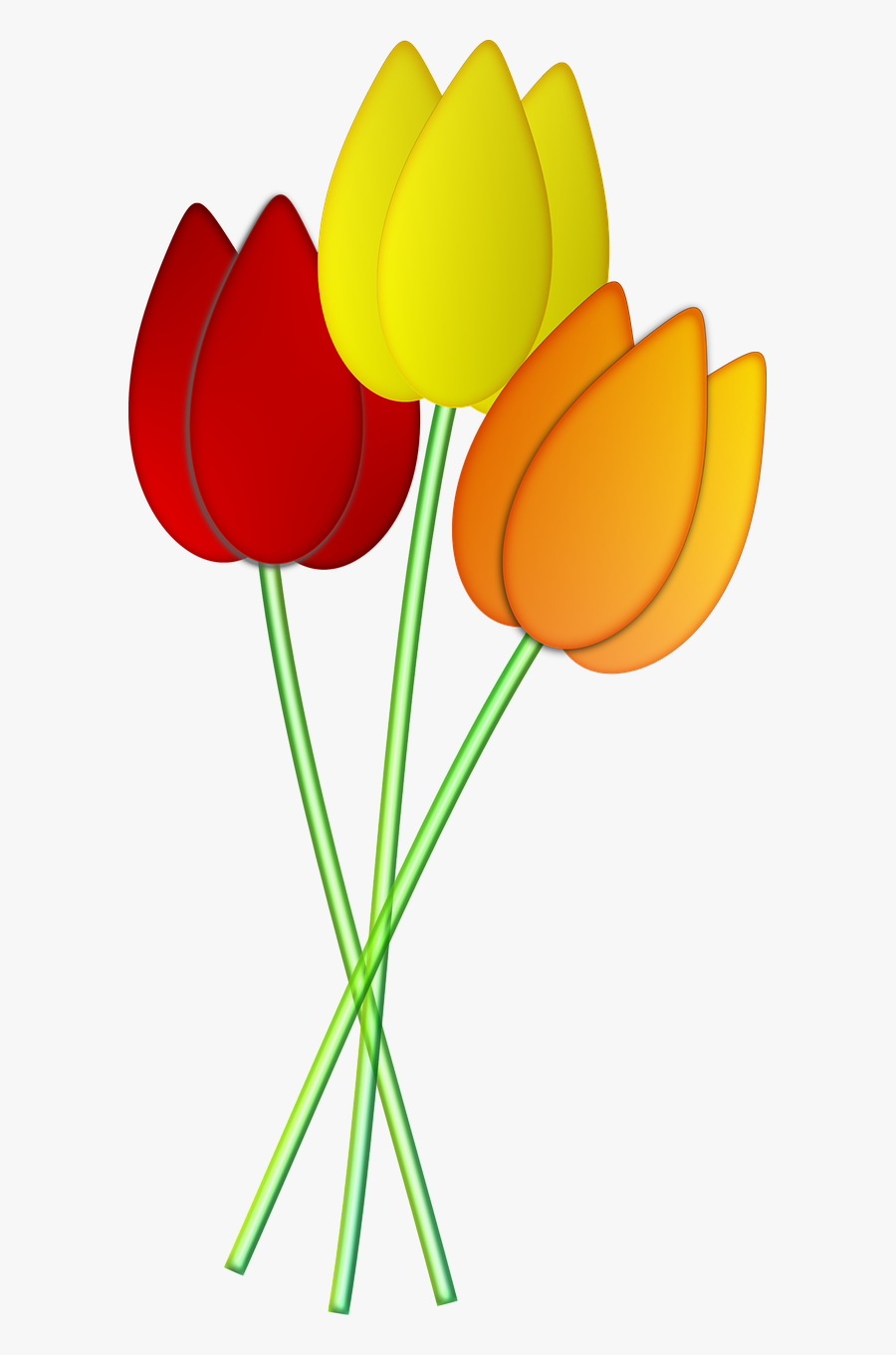 Tulips Flowers Spring Png Image - Tulips Flowers, Transparent Clipart