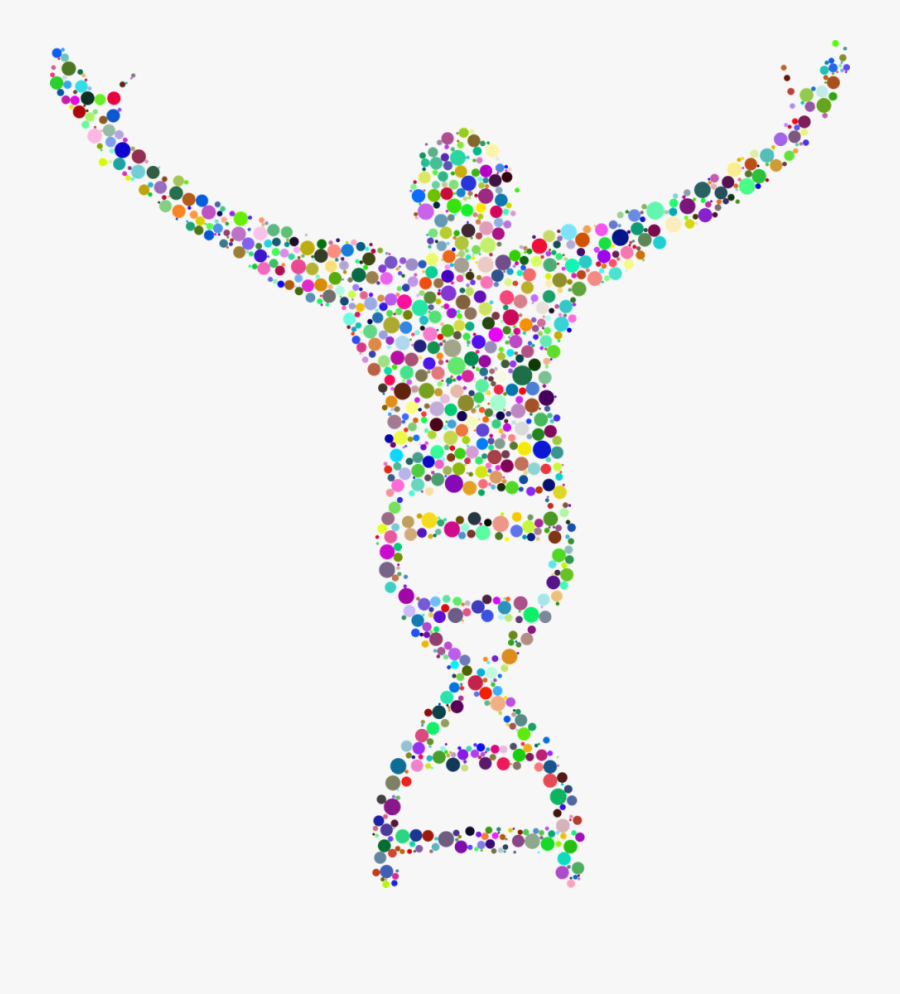 Dna Png, Transparent Clipart