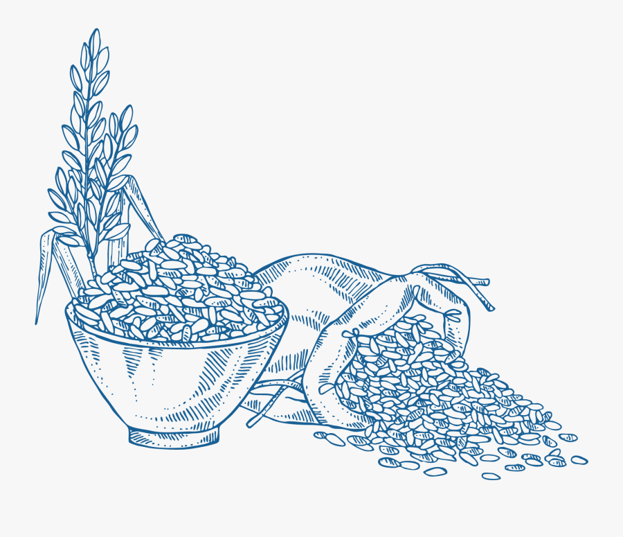 Drawing, Transparent Clipart