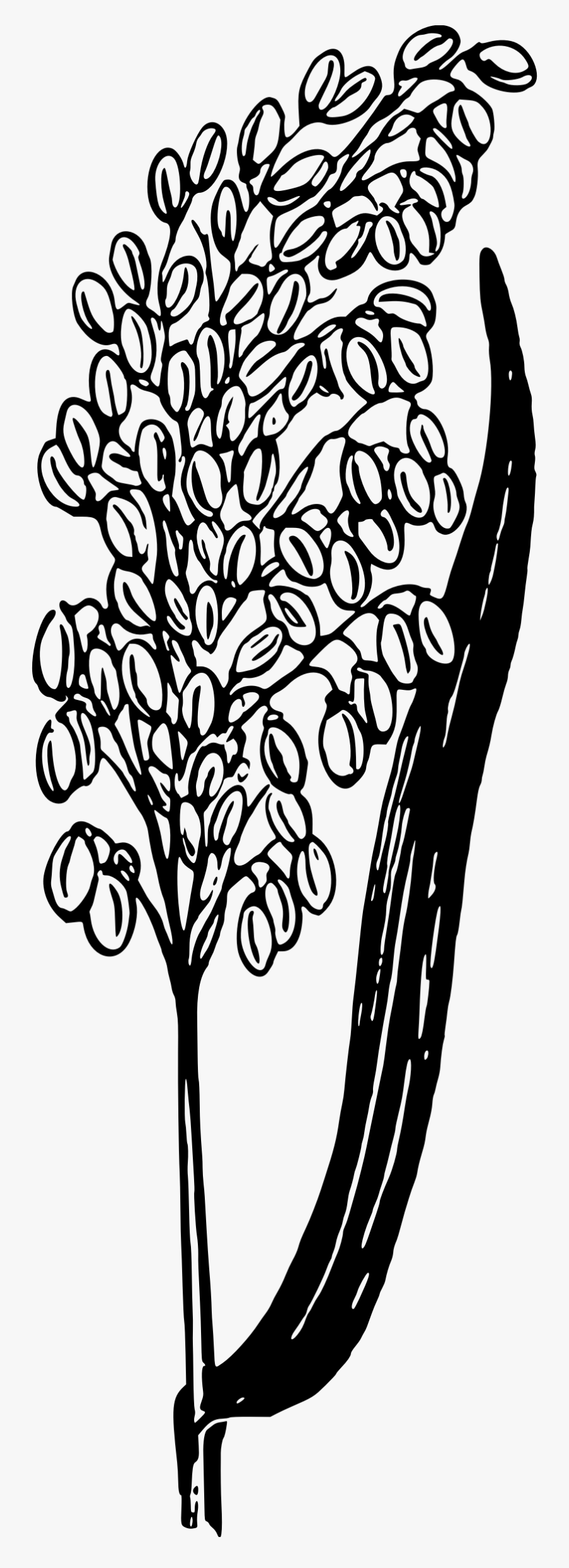 Rice Plant Clip Arts - Rice Tree Black And White, Transparent Clipart