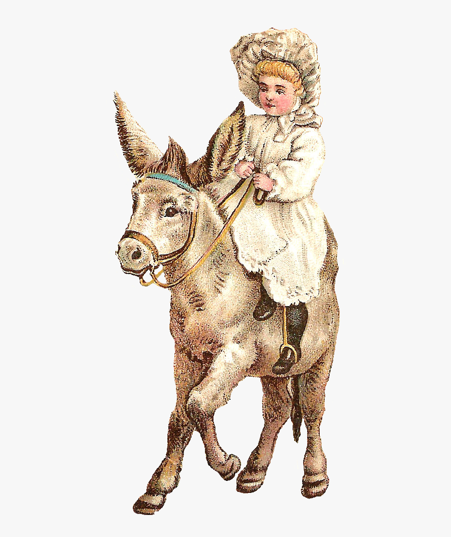 Illustration, Transparent Clipart