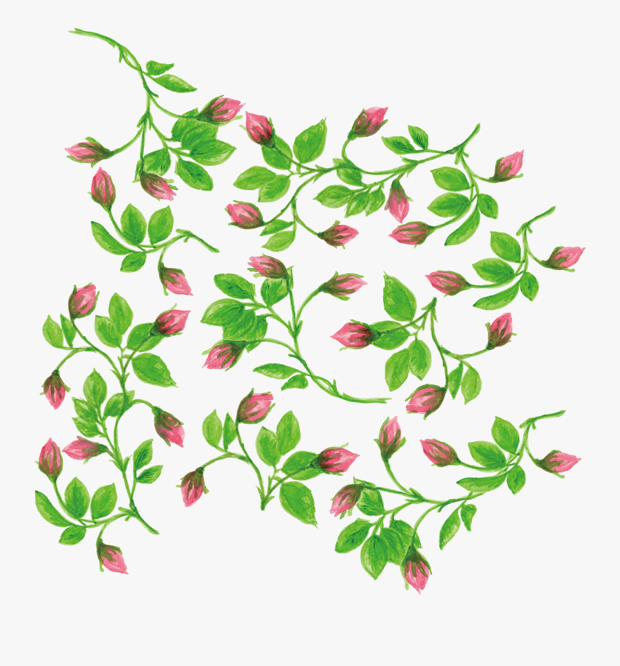 Flower Watercolour Vines Transparent Background, Transparent Clipart