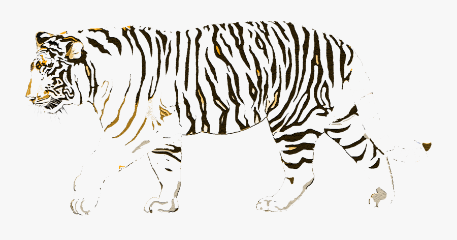 Walking Tiger Transparent, Transparent Clipart