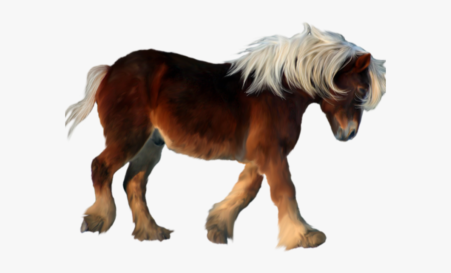 Pony Clipart Real - Transparent Background Pony Clipart, Transparent Clipart