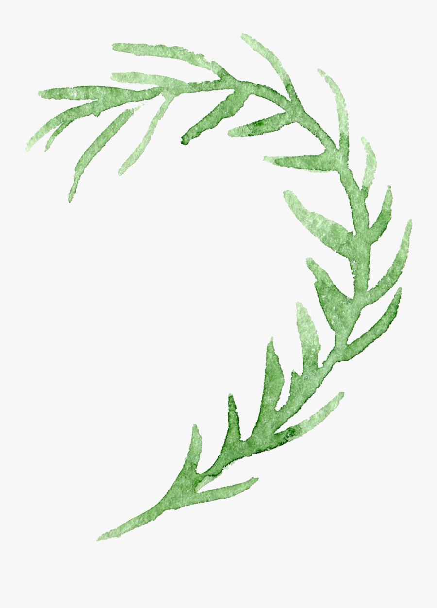 Watercolor Painting Transparency And Translucency Flower - Watercolor Flowers No Background, Transparent Clipart