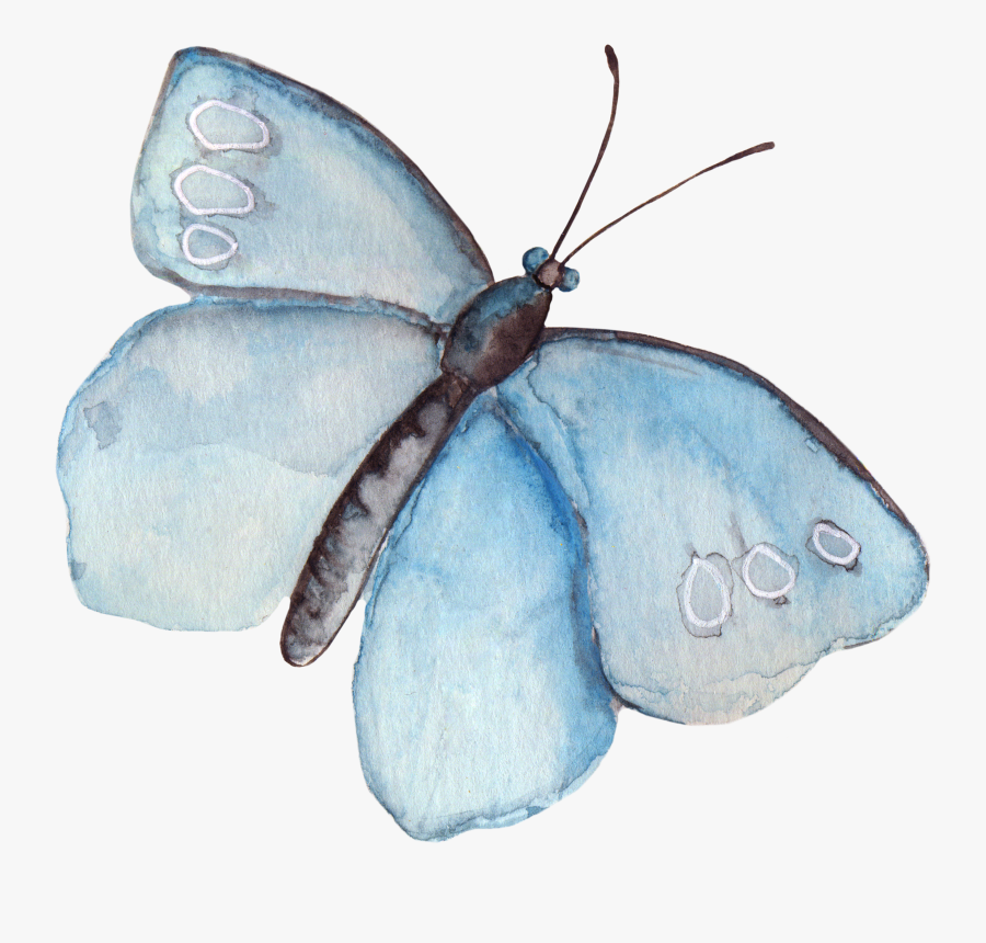 Clipart Wallpaper Blink - Clipart Butterflies Transparent Watercolors, Transparent Clipart