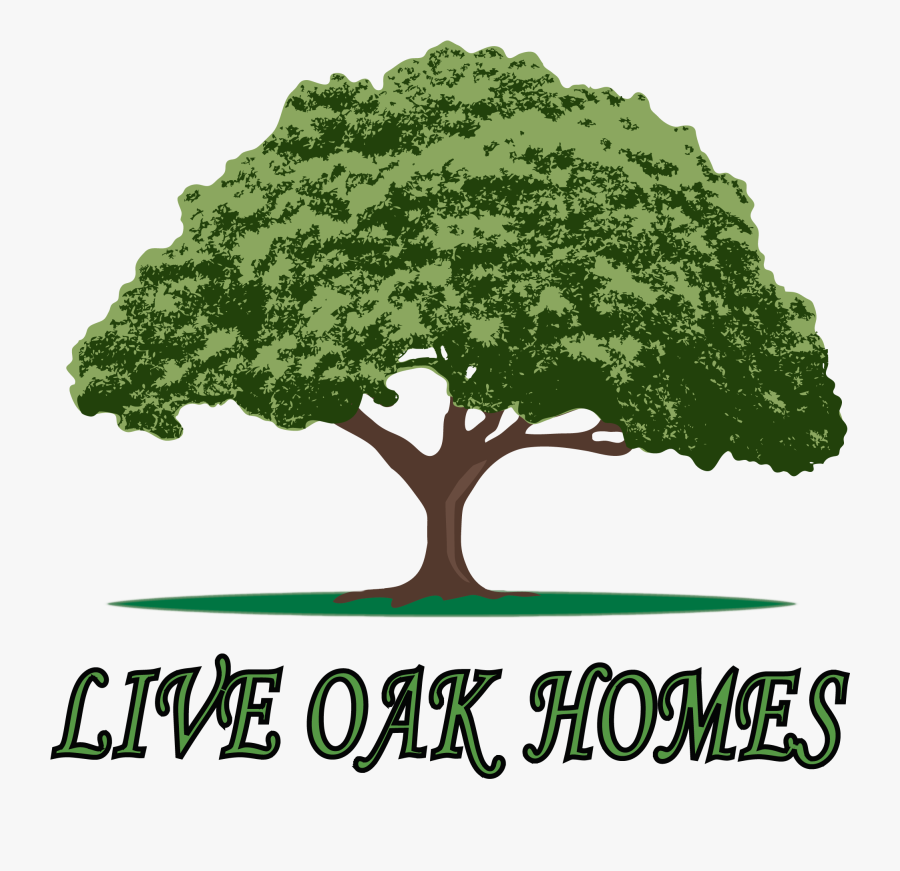 Live Oak Homes Live Oak Homes Mobile Home Waycross - Live Oak Homes Logo, Transparent Clipart