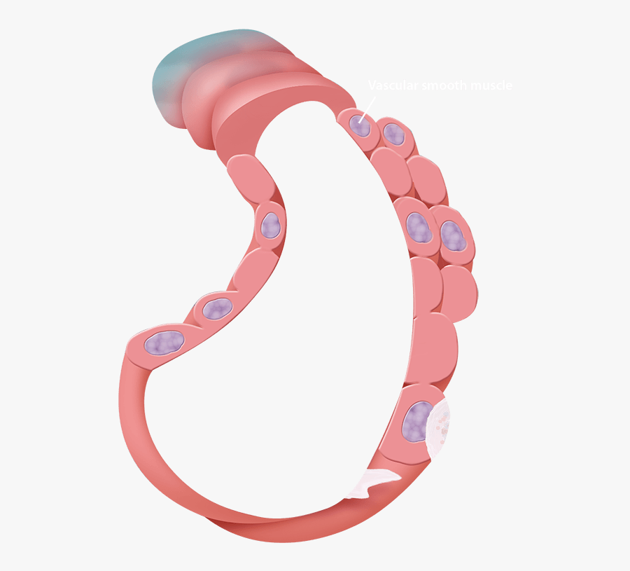 Scroll Down To Start The Tour, Transparent Clipart