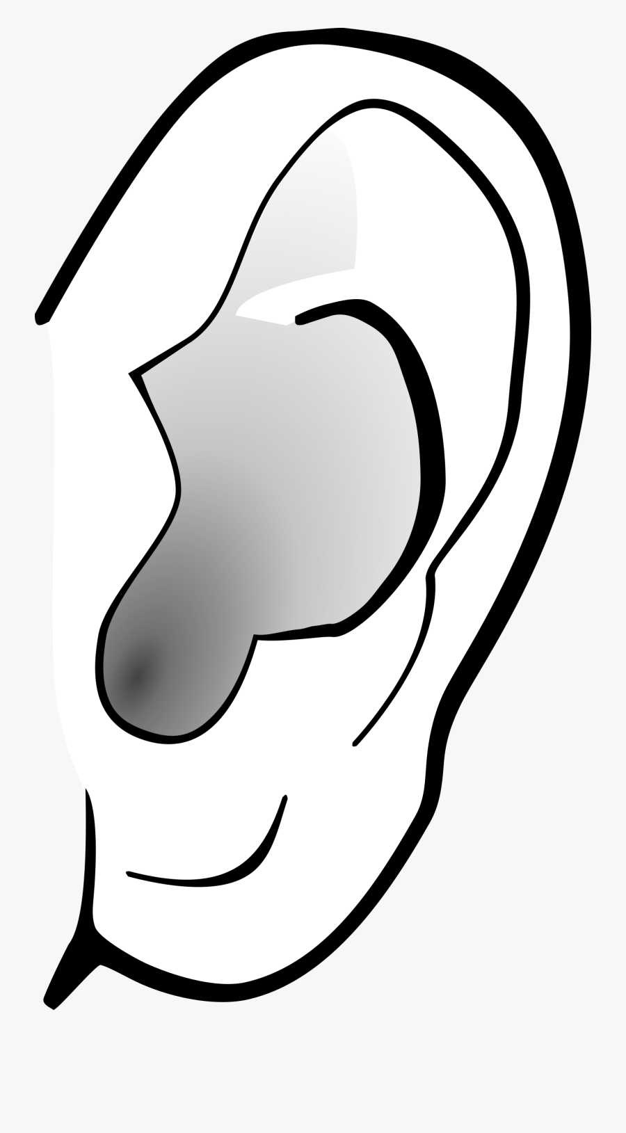 Clipart - Ear Clipart Transparent Background, Transparent Clipart