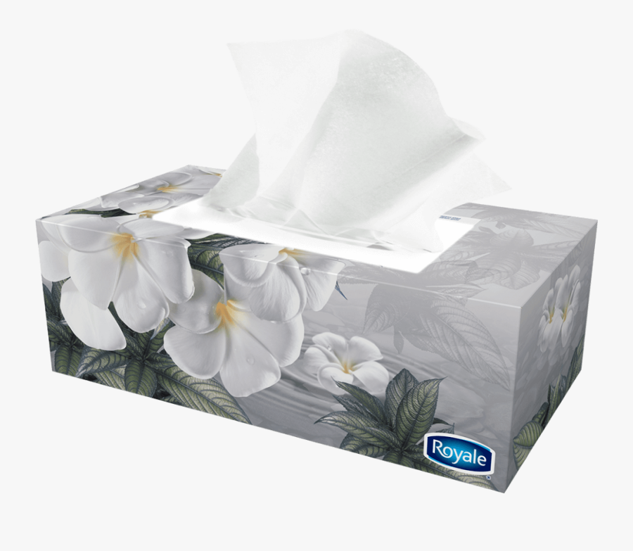Convert To Base64 Tissue - Transparent Tissue Box Png, Transparent Clipart
